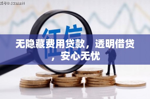 拜泉无隐藏费用贷款，透明借贷，安心无忧
