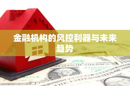 拜泉金融机构的风控利器与未来趋势