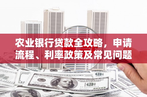 拜泉农业银行贷款全攻略，申请流程、利率政策及常见问题解析