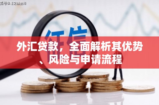 拜泉外汇贷款，全面解析其优势、风险与申请流程