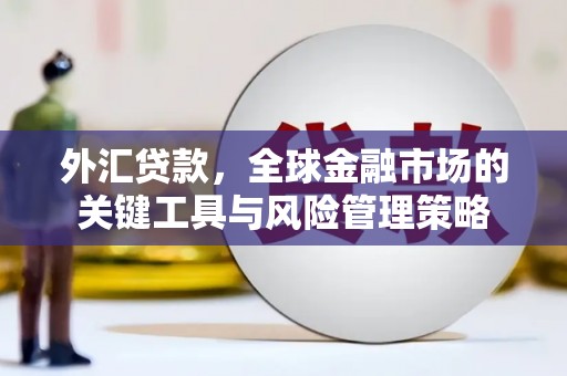 拜泉外汇贷款，全球金融市场的关键工具与风险管理策略