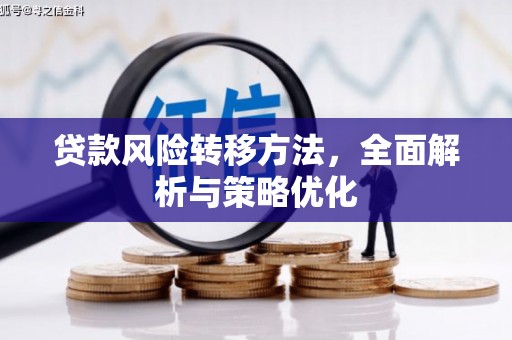 拜泉贷款风险转移方法，全面解析与策略优化