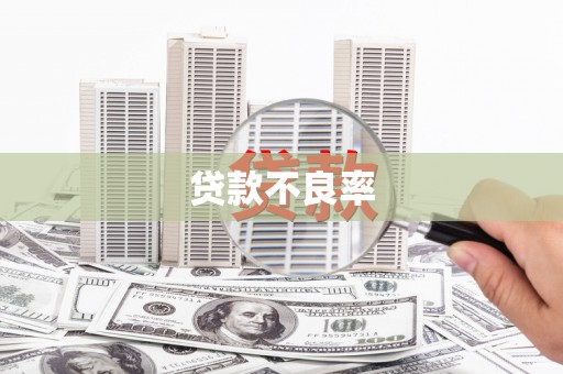 拜泉贷款不良率