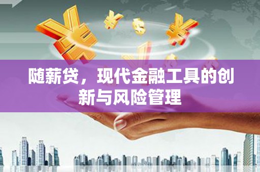 拜泉随薪贷，现代金融工具的创新与风险管理