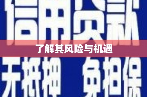拜泉了解其风险与机遇