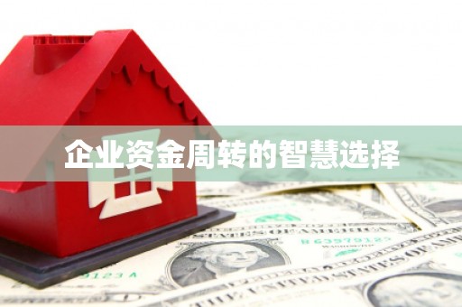 拜泉企业资金周转的智慧选择