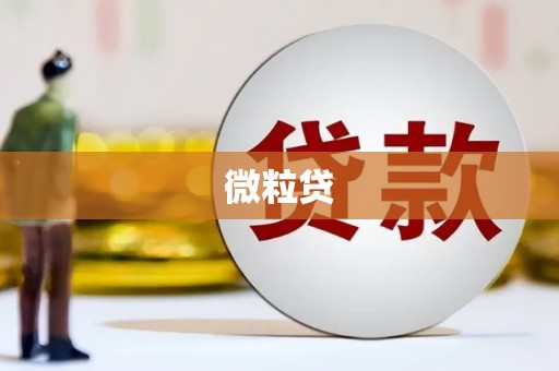 拜泉微粒贷