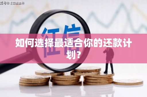 拜泉如何选择最适合你的还款计划？