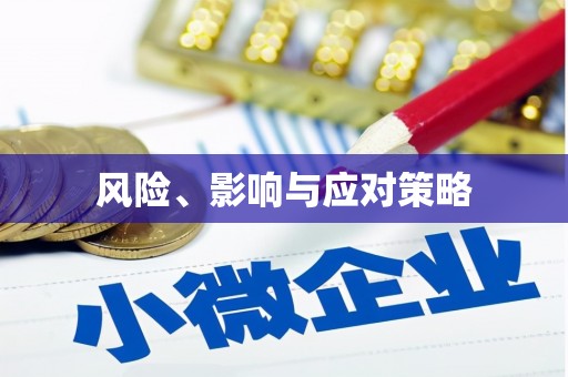 拜泉风险、影响与应对策略