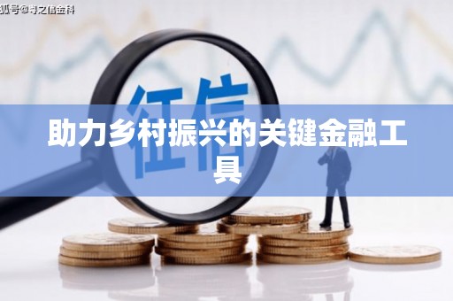 拜泉助力乡村振兴的关键金融工具