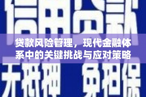 拜泉贷款风险管理，现代金融体系中的关键挑战与应对策略