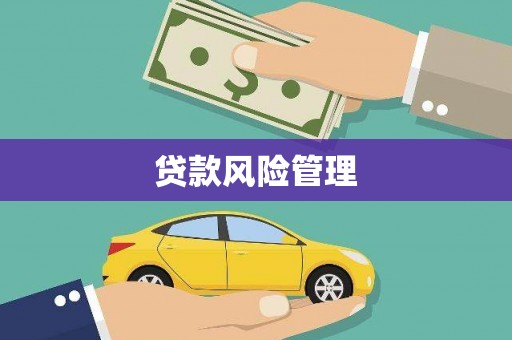 拜泉贷款风险管理