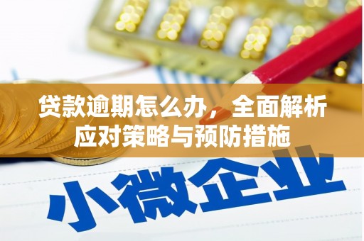 拜泉贷款逾期怎么办，全面解析应对策略与预防措施