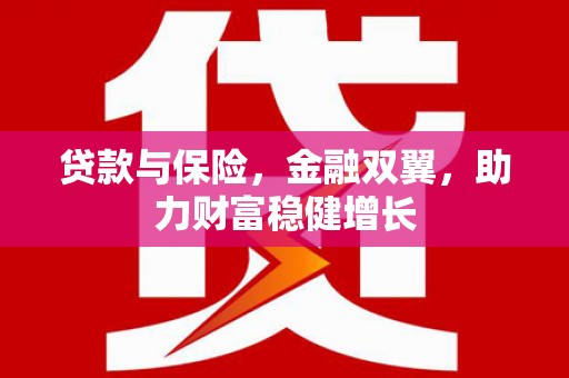 拜泉贷款与保险，金融双翼，助力财富稳健增长