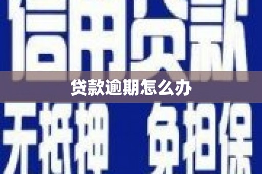 拜泉贷款逾期怎么办