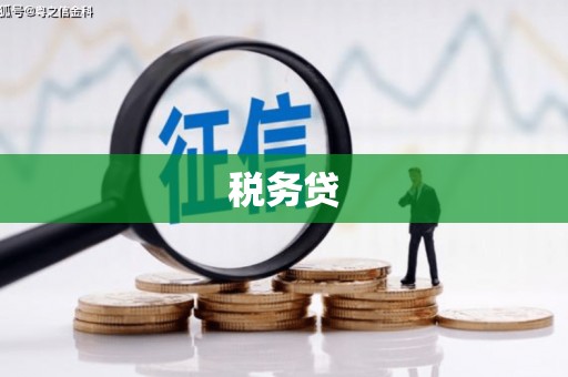 拜泉税务贷