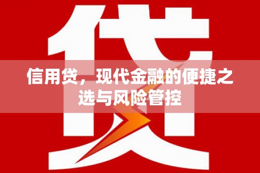 拜泉信用贷，现代金融的便捷之选与风险管控