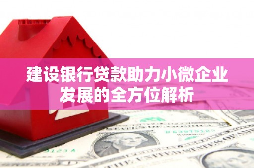拜泉建设银行贷款助力小微企业发展的全方位解析