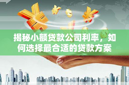 拜泉揭秘小额贷款公司利率，如何选择最合适的贷款方案