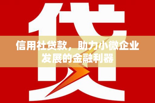 拜泉信用社贷款，助力小微企业发展的金融利器