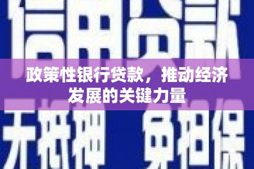 拜泉政策性银行贷款，推动经济发展的关键力量
