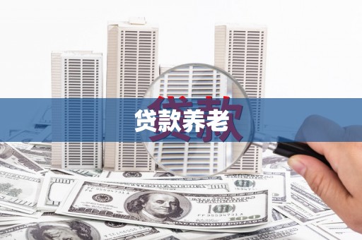 拜泉贷款养老
