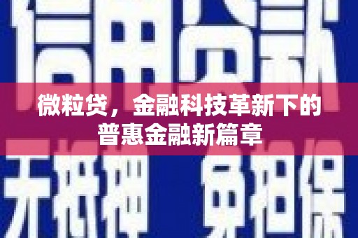 拜泉微粒贷，金融科技革新下的普惠金融新篇章