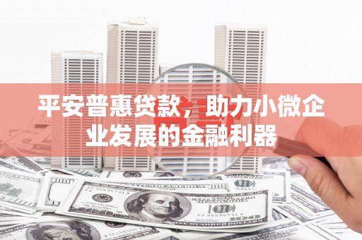 拜泉平安普惠贷款，助力小微企业发展的金融利器