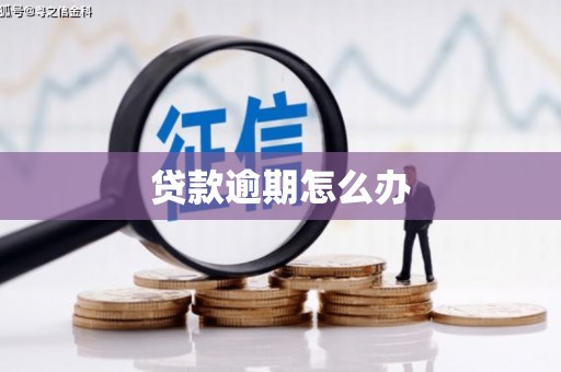 拜泉贷款逾期怎么办
