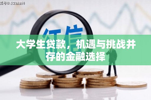 拜泉大学生贷款，机遇与挑战并存的金融选择