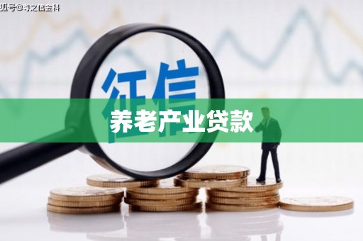 拜泉养老产业贷款