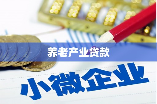 拜泉养老产业贷款