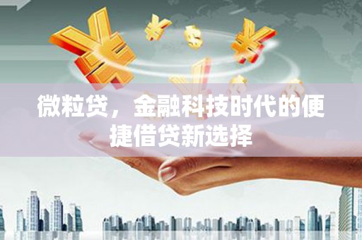 拜泉微粒贷，金融科技时代的便捷借贷新选择