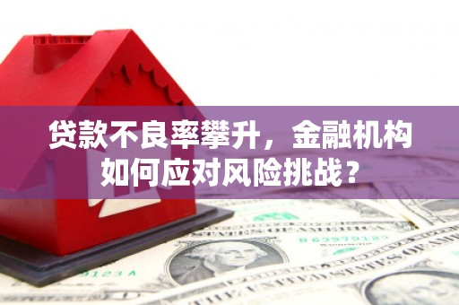 拜泉贷款不良率攀升，金融机构如何应对风险挑战？