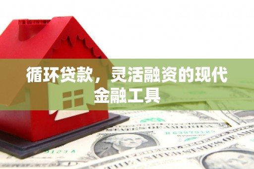 拜泉循环贷款，灵活融资的现代金融工具
