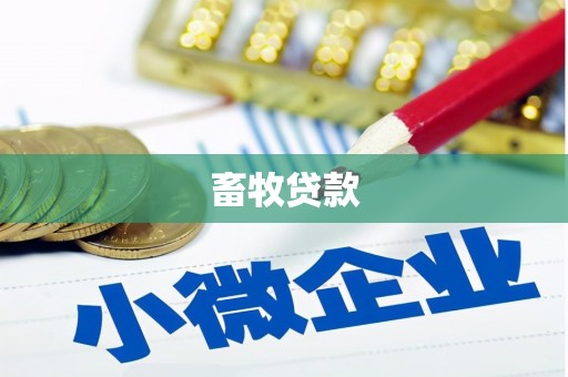 拜泉畜牧贷款