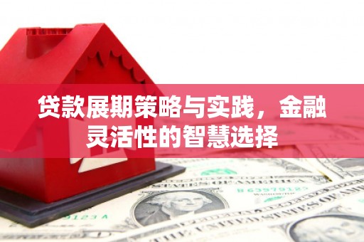 拜泉贷款展期策略与实践，金融灵活性的智慧选择