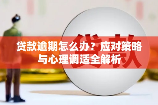 拜泉贷款逾期怎么办？应对策略与心理调适全解析