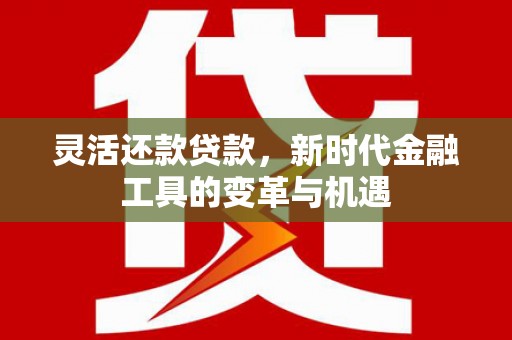 拜泉灵活还款贷款，新时代金融工具的变革与机遇
