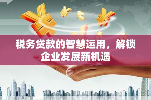 拜泉税务贷款的智慧运用，解锁企业发展新机遇