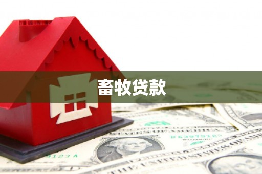拜泉畜牧贷款