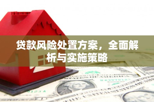 拜泉贷款风险处置方案，全面解析与实施策略